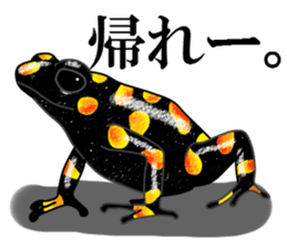 Arrow poison poison frog sticker #6457509