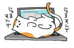 Calico Cat  "UTA" sticker #6457702