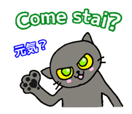 Italian and Japanese cat sticker #6460116