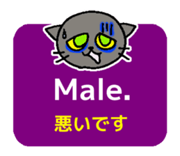 Italian and Japanese cat sticker #6460120