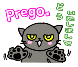 Italian and Japanese cat sticker #6460125