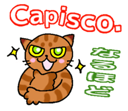 Italian and Japanese cat sticker #6460131