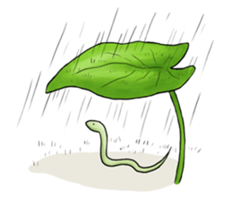 Green Tea - Snake sticker #6466418