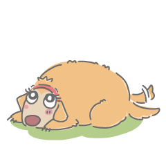 Ms.Didi The Fluffy Golden Retriever