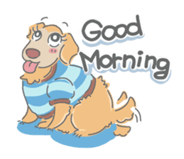 Ms.Didi The Fluffy Golden Retriever sticker #6466512