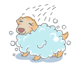 Ms.Didi The Fluffy Golden Retriever sticker #6466514