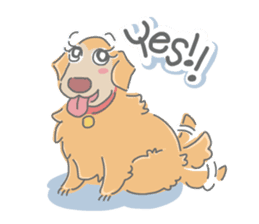 Ms.Didi The Fluffy Golden Retriever sticker #6466524