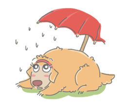 Ms.Didi The Fluffy Golden Retriever sticker #6466542