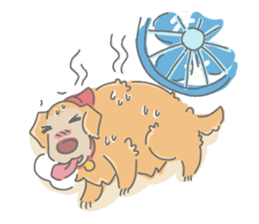 Ms.Didi The Fluffy Golden Retriever sticker #6466543