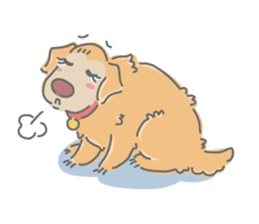 Ms.Didi The Fluffy Golden Retriever sticker #6466546