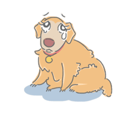 Ms.Didi The Fluffy Golden Retriever sticker #6466549