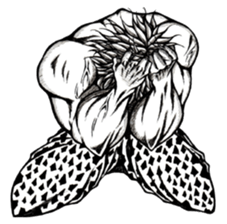 Art of muscle "Vol.3" sticker #6466853