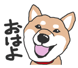 Shiba inu(Shiba ken)Nico&Chaco sticker #6467352