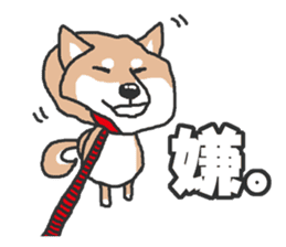 Shiba inu(Shiba ken)Nico&Chaco sticker #6467360