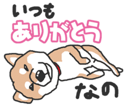 Shiba inu(Shiba ken)Nico&Chaco sticker #6467361