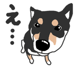 Shiba inu(Shiba ken)Nico&Chaco sticker #6467373