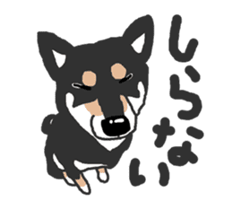 Shiba inu(Shiba ken)Nico&Chaco sticker #6467374