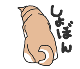 Shiba inu(Shiba ken)Nico&Chaco sticker #6467376