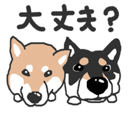 Shiba inu(Shiba ken)Nico&Chaco sticker #6467377