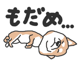 Shiba inu(Shiba ken)Nico&Chaco sticker #6467380