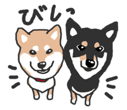 Shiba inu(Shiba ken)Nico&Chaco sticker #6467381