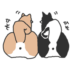 Shiba inu(Shiba ken)Nico&Chaco sticker #6467383
