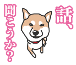 Shiba inu(Shiba ken)Nico&Chaco sticker #6467385