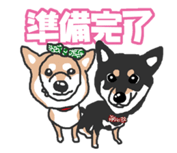 Shiba inu(Shiba ken)Nico&Chaco sticker #6467386