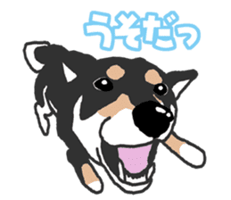Shiba inu(Shiba ken)Nico&Chaco sticker #6467389