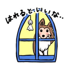 Sheltie Chess 2 sticker #6469141