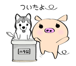 3 pigs sticker #6469560