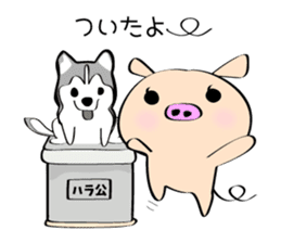 3 pigs sticker #6469560