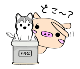 3 pigs sticker #6469561