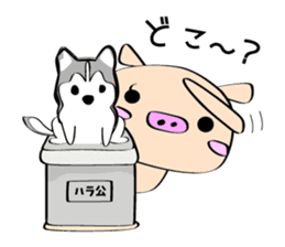 3 pigs sticker #6469561