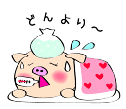 3 pigs sticker #6469576