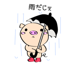 3 pigs sticker #6469578