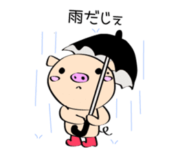 3 pigs sticker #6469578