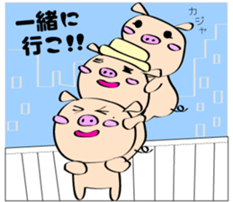 3 pigs sticker #6469590