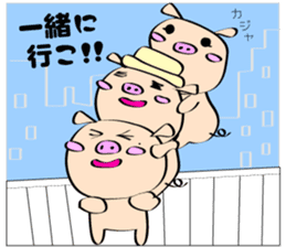 3 pigs sticker #6469590