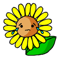 SUN FLOWER sticker #6470605