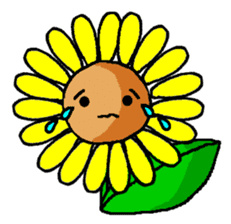 SUN FLOWER sticker #6470605