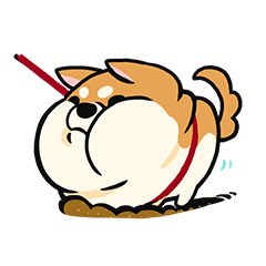 riceman-awa shiba life