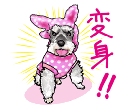 Miniature Schnauzer -2- sticker #6471513