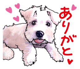 Miniature Schnauzer -2- sticker #6471517