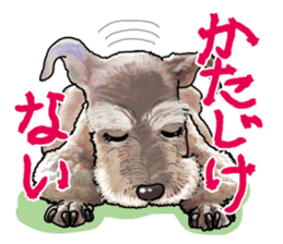 Miniature Schnauzer -2- sticker #6471518