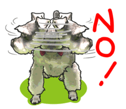 Miniature Schnauzer -2- sticker #6471522