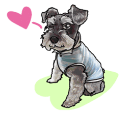 Miniature Schnauzer -2- sticker #6471523