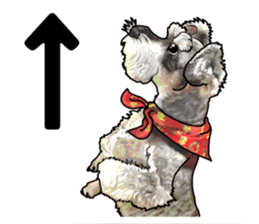 Miniature Schnauzer -2- sticker #6471524