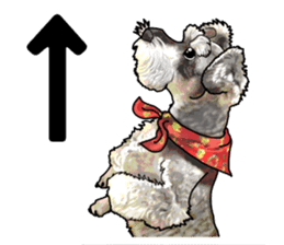 Miniature Schnauzer -2- sticker #6471524