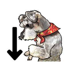 Miniature Schnauzer -2- sticker #6471525
